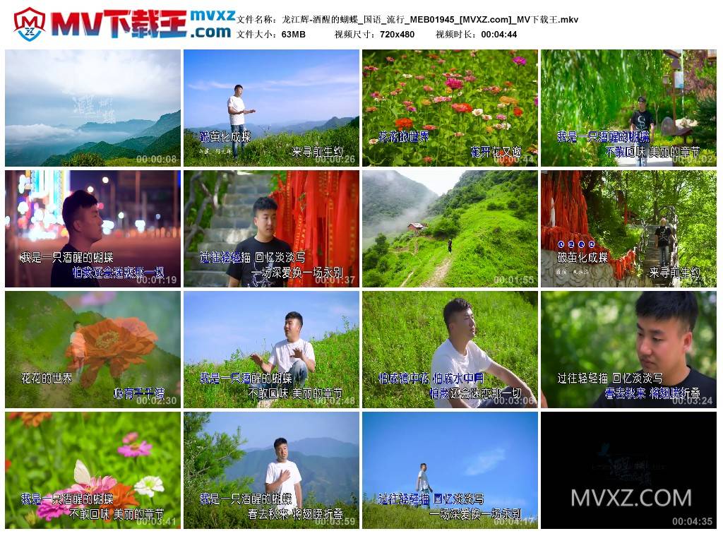 龙江辉-酒醒的蝴蝶_国语_流行_MEB01945